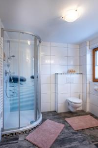 トゥクスにあるFerienwohnung Brandeggのバスルーム(シャワー、トイレ付)