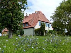 a house in a field with purple flowers at Hof Sorgenlos in Groß Gievitz