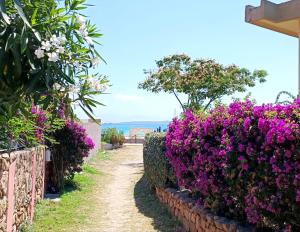 un camino a través de un jardín con flores púrpuras en La Smeralda - Boutique Rooms and Breakfast en Golfo Aranci