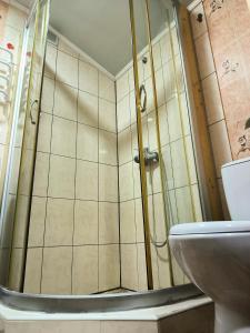 a shower in a bathroom with a toilet at Max hoMe in Tatariv