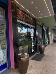 two large potted plants in front of a store at Hotel central campo grande in Campo Grande