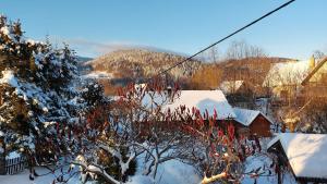 a snow covered yard with a house and trees at Cottage Zawoja z Jacuzzi in Zawoja