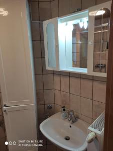 La salle de bains est pourvue d'un lavabo et d'un miroir. dans l'établissement Nice small house in beautiful Carinthia, à Feistritz im Rosental