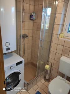 ein Bad mit einer Dusche und einer Waschmaschine in der Unterkunft Nice small house in beautiful Carinthia in Feistritz im Rosental