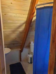 a bathroom with a toilet and a blue shower curtain at Cabañas Alpinas in San Bernardino
