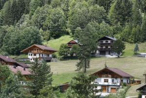 un groupe de maisons sur une colline plantée d'arbres dans l'établissement Haus Bergheim, à Ramsau am Dachstein