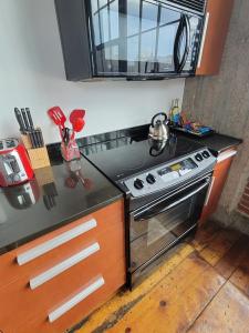 a kitchen with a stove and a counter top at Luxe Art Gallery in Saint Louis