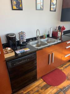 a kitchen with a sink and a dishwasher at Luxe Art Gallery in Saint Louis