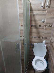 ein Bad mit WC und Glastür in der Unterkunft Kuca na kraju sela in Valjevo