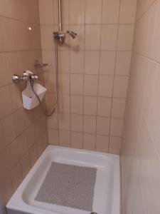 a bathroom with a shower and a bath tub at Ländlezimmer in Rankweil