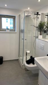 a bathroom with a toilet and a glass shower at LIGHTPLACE • Design • Boxspring • Balkon • 2 Smart TV •Innenstadt in Braunschweig