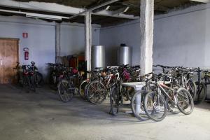 Jazda na bicykli v okolí ubytovania Hotel Carnia