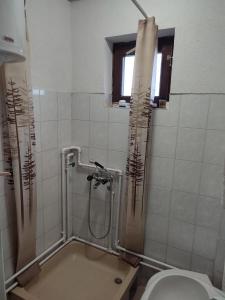 a bathroom with a shower and a toilet at Kuća za odmor Virtus Goč in Vrnjačka Banja