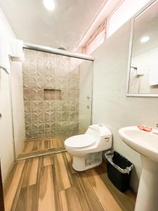 a bathroom with a toilet and a sink at Hotel Expo Plaza Business and Family Guadalajara in Guadalajara