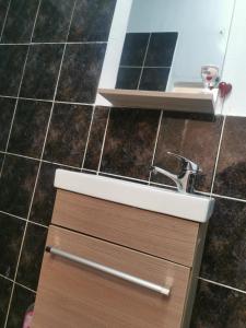 a bathroom with a sink and a counter at GARSONIERĂ in Arad