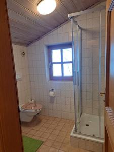 a bathroom with a shower and a toilet and a window at Apartment Sabrina in Sankt Johann im Pongau