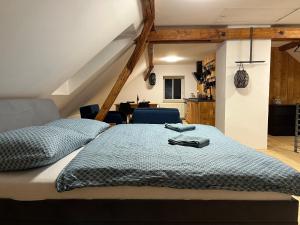 Postel nebo postele na pokoji v ubytování Apartmány Kanteho grunt