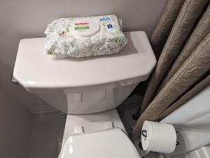 ein weißes WC mit einer Rolle Toilettenpapier darauf in der Unterkunft Bright Room full of love and warmth in Bowmanville