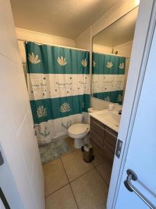 ein Badezimmer mit einem WC, einem Waschbecken und einem Duschvorhang in der Unterkunft Departamento en playa herradura in Coquimbo