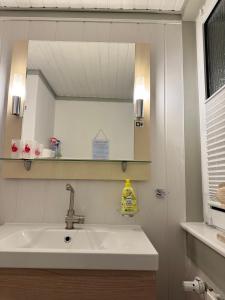 a bathroom with a sink and a mirror at Kleine Ella Pellworm in Pellworm