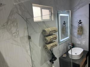 uma casa de banho com um chuveiro, um WC e um espelho. em Urban Hotel El Ancla Suites - Apartment 3 em Puerto Peñasco