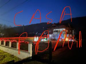 a neon sign that says aarius with lights at Poama villa in Negruleşti