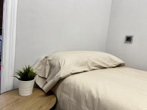 a bed with a pillow and a potted plant on a table at Apartamentos Baladrias Formigal Centro - Recién Reformado in Formigal