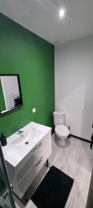 baño verde con lavabo blanco y aseo en Studio Hibiscus tout confort, rénové, en Saint-Quentin