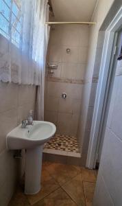 uma casa de banho com um lavatório e um chuveiro em Stay at Home Airport Lodge em Kempton Park