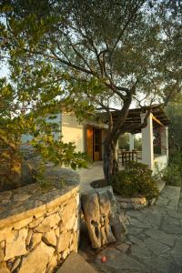 a stone bench under a tree in front of a house at Nereidi Villas in Porto Ozias