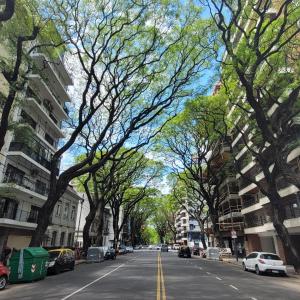 una strada cittadina con alberi e auto parcheggiate sulla strada di Caballito Apartamen Premiun a Buenos Aires