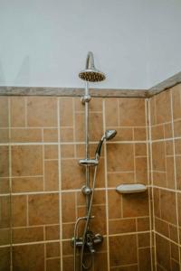 a shower with a shower head in a bathroom at Jwapano housing in Dar es Salaam