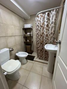 La salle de bains est pourvue de toilettes, d'un lavabo et d'une douche. dans l'établissement Departamento céntrico en Bariloche, à San Carlos de Bariloche
