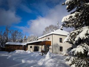 budynek pokryty śniegiem i pokryty śniegiem drzewami w obiekcie Apartmány Lipno-Hory w mieście Horní Planá