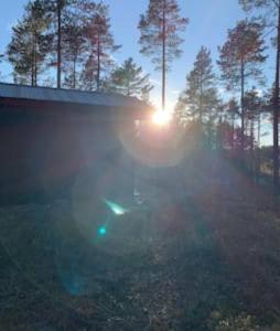 the sun is setting behind some trees in a field at Velkommen til Finnskogen og minihytta Rimbila in Kongsvinger