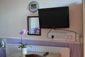 TV a/nebo společenská místnost v ubytování Adelphi Guest House