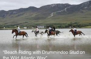 a group of people riding horses through the water at Westbrook Country House in Castlebar