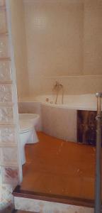 a bathroom with a bath tub and a toilet at Apartamento Granada in Atarfe