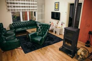 a living room with a green couch and a wood stove at Elit view home in Sapanca