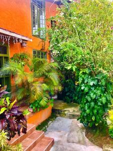 a garden in front of a building with plants at Les Residences Etang Du Jonc in Petionville