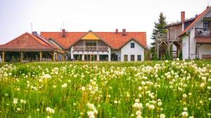 um campo de flores em frente a uma casa em Siedlisko Nawiady - hotel butikowy em Nawiady