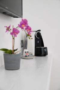 a counter top with a plant and a coffee maker at B&B Residenza Aragonese in Vasto