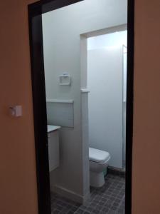 een badkamer met een wit toilet en een wastafel bij PH accesible en Wilde solo 3 in Wilde