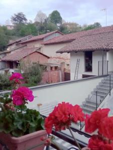 a balcony with flowers in a pot and a house at appartamento tra Torino e Alba in centro in Sommariva del Bosco