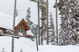 Alpine Timber Luxury Chalet w/Hot Tub зимой