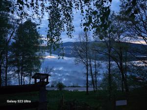 uma vista de um corpo de água com uma árvore em Dom nad jeziorem em Żywiec