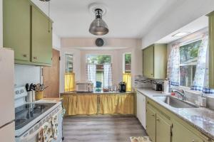 una cucina con armadi verdi e lavandino di Lizbeth's Cottage Adorable Private Home, Full Kitchen, WD, Garage, Netflix, Yard a Toledo