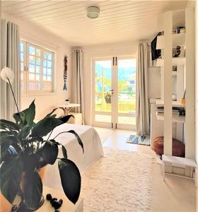 un dormitorio con una planta en el medio en SUITE DA FRENTE COM COPA, WIFI E ACESSO INDEPENDENTE, en Búzios