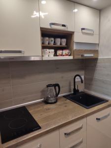 Kjøkken eller kjøkkenkrok på Apartman Silvija Divčibare
