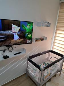 En TV eller et underholdningssystem på Apartman Silvija Divčibare
